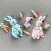 Elegant Easter Rabbit Set Silicone Mould Baking Desserts Fondant